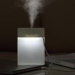 Humidifier with UV Light