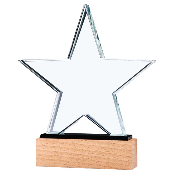 Customized Trophy Dubai Wooden Design