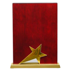 Wooden and metal trophy with ample space