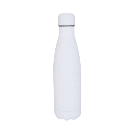 Sunrox Stainless Steel Bottle 1