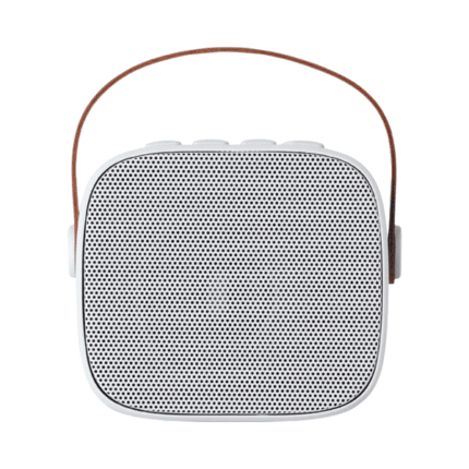 Client receiving corporate gift wireless speaker