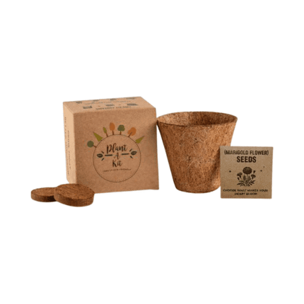 Auriss-All-In-One-Plant-Grow-Kit